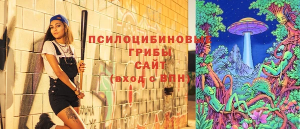 шишки Беломорск