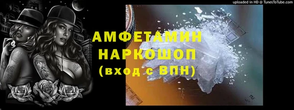 шишки Беломорск