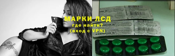 шишки Беломорск