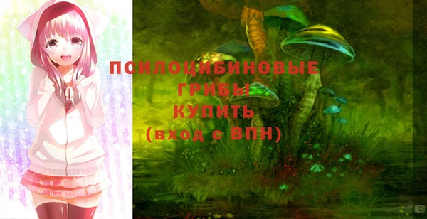 метамфетамин Богородицк