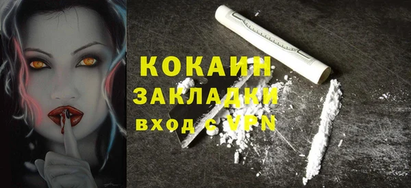 шишки Беломорск