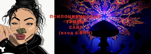 шишки Беломорск